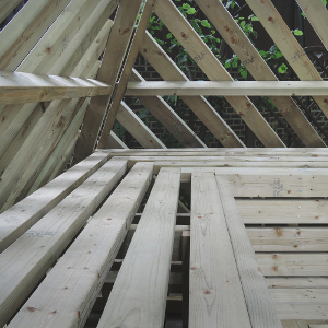 bsix-pav-300-300-icon