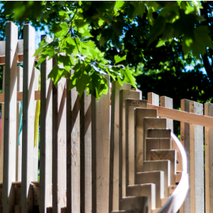 NGDP Pavilion ©Richard Winter 48-crop-300x300